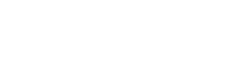 asmDL